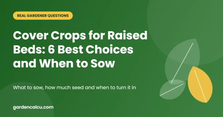 Cover Crops for Raised Beds: 6 Best Choices and When to Sow – guide to cover crops for raised beds