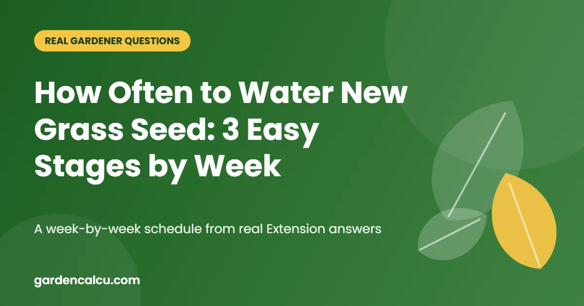 How Often to Water New Grass Seed: 3 Easy Stages by Week