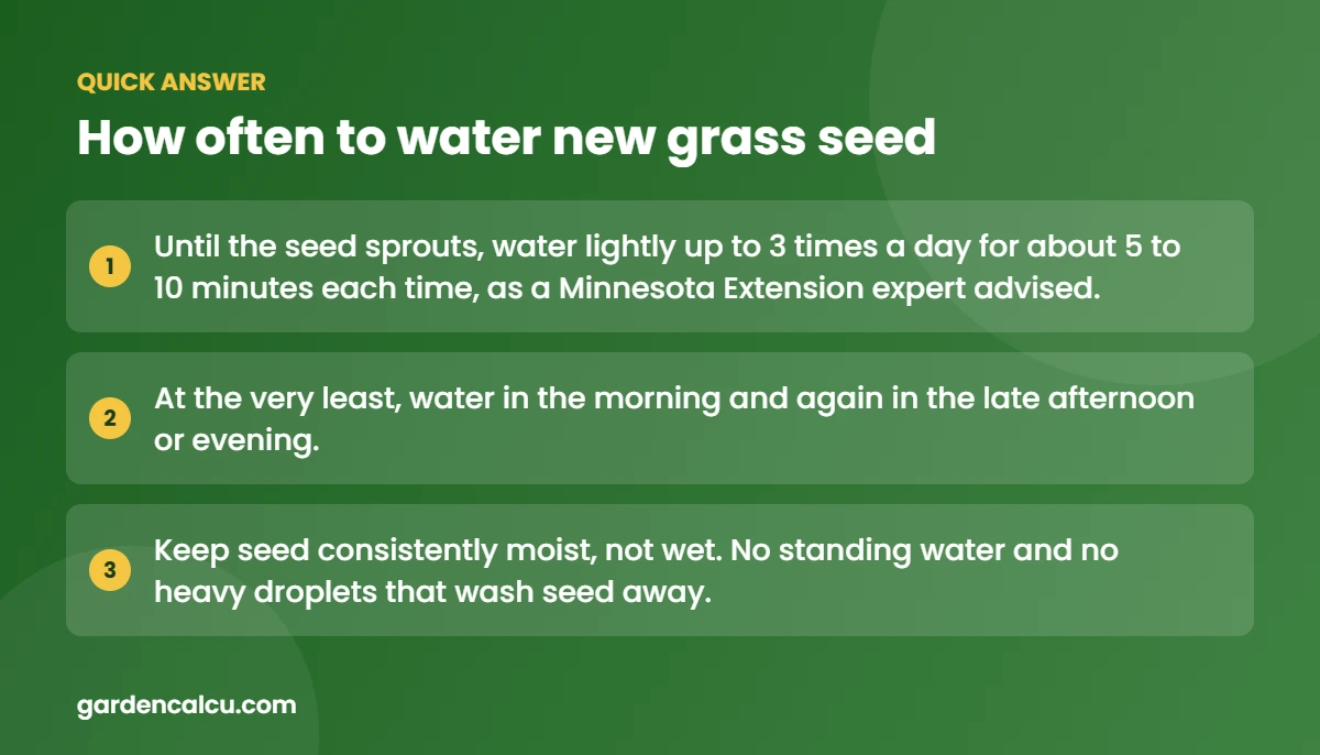 Quick answer: how often to water new grass seed