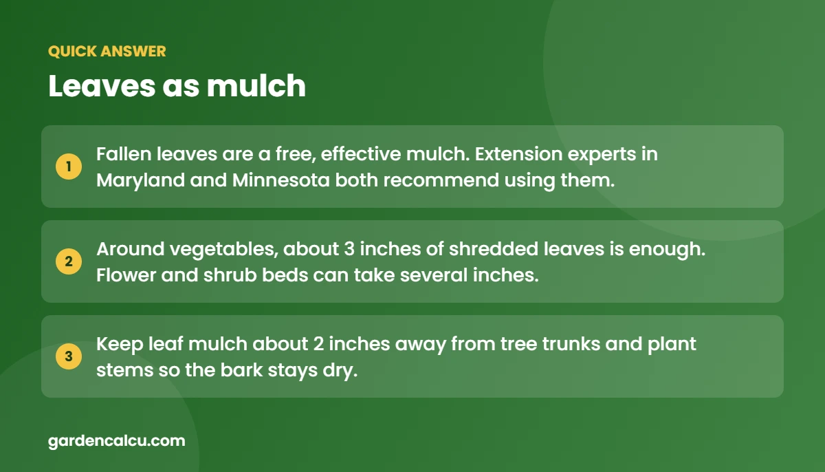 Quick answer: leaves as mulch