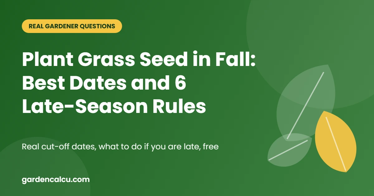 Plant Grass Seed in Fall: Best Dates and 6 Late-Season Rules