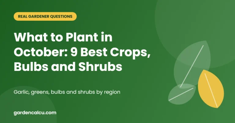 What to Plant in October: 9 Best Crops, Bulbs and Shrubs – guide to what to plant in October