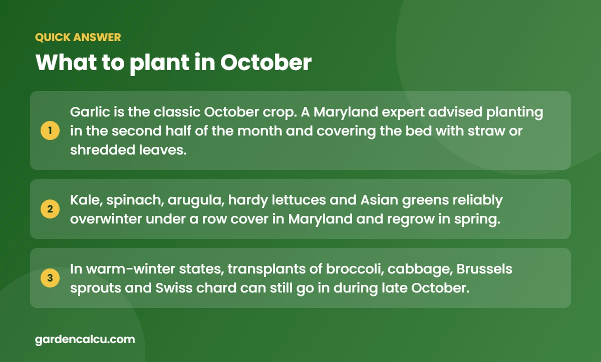 Quick answer: what to plant in October